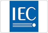 International Electrotechnical Commission (IEC)